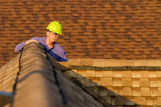 Best Roof Gutter Cleaning  in Headland, AL